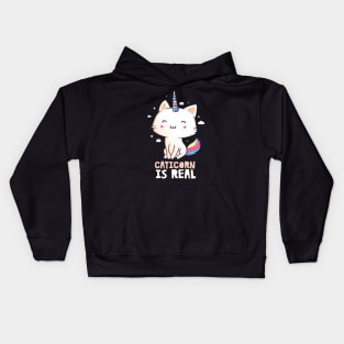 Caticorn Is Real Funny Cute Gift Kids Hoodie